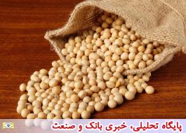 نصف واردات دانه‌های روغنی در انحصار 5 نفر